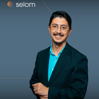 consultores site